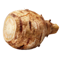 Fresh Raw Celeriac Root Isolated on White Background for Culinary and Nutritional Concept png