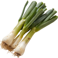 Fresh Green Onion Bunch with Crisp Leaves and Roots on a Bright Background Capturing Farm-to-Table Essence png