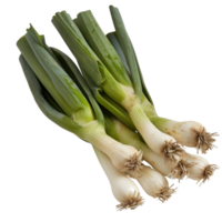 Fresh Green Leeks on a White Background Ready for Culinary Use in Various Delicious Dishes and Recipes png