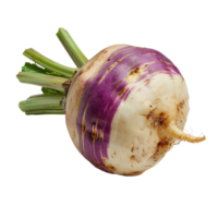 Fresh Organic Rutabaga with Purple and White Skin and Green Leaves Isolated on White Background for Culinary Use png