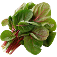 Fresh and Vibrant Swiss Chard Leaves with Stems for Healthy Cooking and Nutrition in Culinary Dishes png