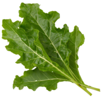 Fresh Green Leafy Greens on Transparent Background Ideal for Culinary Use and Healthy Meal Preparation png