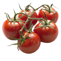Fresh Red Tomatoes on Vine with Green Leaves Isolated on White Background for Culinary and Healthy Eating Concepts png