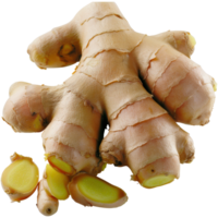 fresco, orgánico jengibre raíz con expuesto rebanadas en blanco antecedentes ideal para culinario y relacionado con la salud contenido png