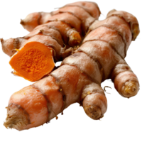 Fresh Turmeric Root Isolated on White Background with One Cut Open Showing Bright Orange Flesh and Textured Skin png