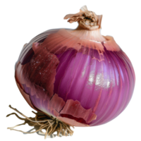 Freshly harvested red onion with vibrant skin and detailed texture, isolated on a white background for culinary use png