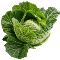 Fresh Green Cabbage with Crisp Leaves and Beautiful Texture for Healthy Cooking and Salad Preparation png