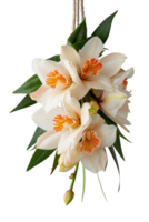 Stunning Arrangement of Creamy Orchids with Vibrant Orange Centers Flowing Elegantly Against a Soft Background png