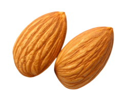 Two almonds, close up view png