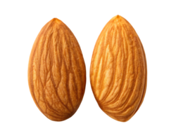 Two almonds, close up view. png