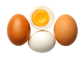 Boiled eggs, whole and halved, showing yolk and white. png