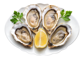 Four fresh oysters on the half shell with lemon and parsley. png