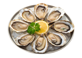 Plate of fresh oysters on ice with lemon and parsley. png