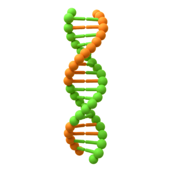 adn estructura aislado hacer demostración genético código y molécula Ciencias png
