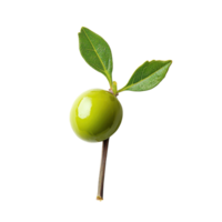 Vibrant Caper Berries Culinary Delight on transparent background. png