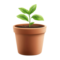 Terracotta Flower Pot Rustic Charm on transparent background. png