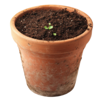 Terracotta Pot with Soil for Planting on transparent background. png