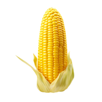 Fresh Golden Corn On The Cob Photograph On Transparent Background png