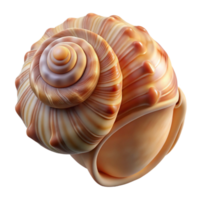magnífico artístico uma fechar-se do uma Concha do mar, com intrincado padrões e texturas, aceso de macio, difuso luz exclusivo png
