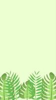 Vertical background animation with tropical jungle leaves on the bottom side, monstera leaves and exotic palm leaves. Place for text. Loop animation in flat design style video