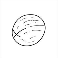 Line illustration of a walnut in the shell. vector