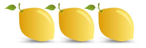 Set of three yellow fresh lemons fruit with green leaf, a fresh juicy lemon and refreshing citrus appeal. and illustration vector