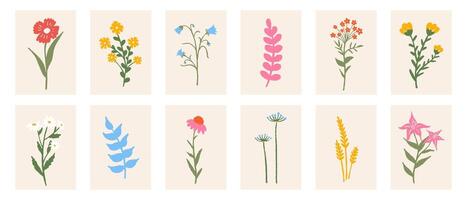 Floral botanical composition set. Modern trendy colorful minimal style. design for print, wallpaper, card and invite, poster vector