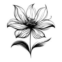 A delicate hand drawn flower icon in an artistic style design vector