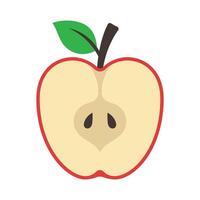Half Apple Inside Flat Style vector