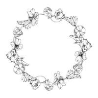 Cloudberry raspberry with white flowers, hand drawn ink, ripe Scandinavian forest berry on stems. Isolated botanical wreath crown frame illustration. Restaurant, cafe menu, farmers market vector