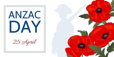 Anzac day horizontal banner, remembrance day template with flowers and soldier vector