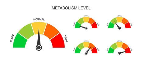 Set of metabolism meter dashboards with arrows. Different metabolic levels from slow to high. Charts of rate which body converts foods and drinks into energy. flat illustration vector