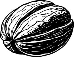 walnut black and white illustration without background vector