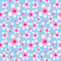 Seamless pink blossom sakura pattern, spring flower background. vector
