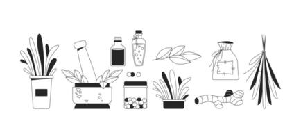 Herbal medicine and natural remedies 2D line objects set. Herbs, essential oils, mortar pestle, spices dried plants isolated cliparts ink outline items. Monochrome spot illustrations collection vector