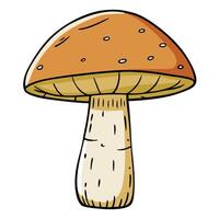 A cartoon drawing of a single orange mushroom with a thick stem and a wide cap vector