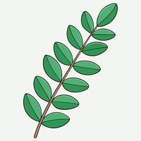 A Simple Illustration of a Green Branch with Elliptical Leaves a Botanical Drawing of Nature vector