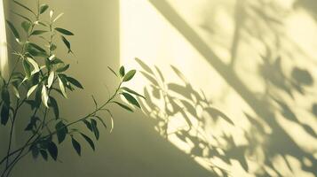 Serene indoor scene, a vibrant plant basks in warm sunlight, casting playful shadows on the wall, creating a calming ambiance. photo