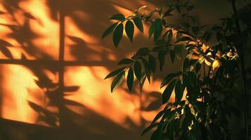 Warm Sunlight. A plant casts intricate shadows on a textured wall, bathed in a soft, golden light, creating a tranquil indoor ambiance. photo