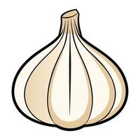 a garlic bulb on a white background illustration. vector