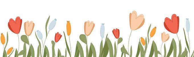 Banner with flower bloom for spring background. Botanical summer frame with wildflower border . Horizontal garden design with leaves, petals, and tulip graphic for floral meadow invitation vector