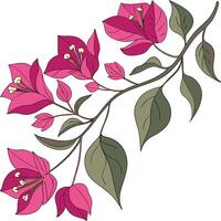 A branch with pink flowers and leaves vector