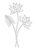 Bouquet of two nymphaea flowers with leaves. Bunch of blooming water wild plants. Line art, minimal style, contour. Botanical hand-drawn elements for design projects vector