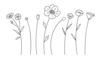 Set of wildflowers and buds, black line art style, white background. Hand-drawn various flowers and leaves. Wild plants for design projects vector