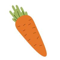Flat style illustration of a carrot, ideal for healthy eating, cooking projects, and vegetable-inspired designs. vector