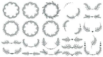 Elegant botanical frames and dividers set vector