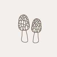 Illustration with Morel Mushrooms on isolated background. Icon with spring edible mushroom Morchella, food. Design element for label, logo, wrapping, card, paper, template. Line art style vector
