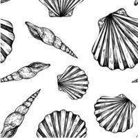 Seamless pattern with beautiful shells. Hand painted line seashell. Graphic clip art isolated on background. Underwater illustration. For designers, invitations, decoration, postcards, wrapping paper vector