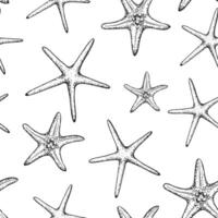 Seamless pattern with starfish. Hand painted line sketch. Graphic tropical clip art isolated on background. Underwater illustration. For designers, invitations, decoration, postcards, wrapping vector