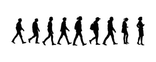 ilhouette of People Walking in Different Poses Showing Movement and Progression vector